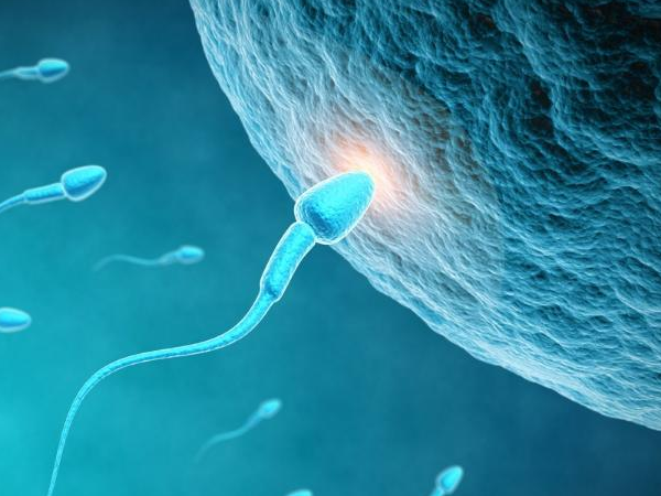 众成国际助孕|威海三代试管供卵选性别（威海市乳山市）