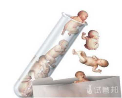 广州供卵试管要求,广州供卵试管受骗经历-卵巢性闭经