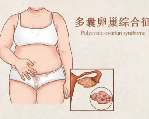 河南省郑州市人民医院做试管婴儿可以选性别吗-甲胎蛋白是检查什么的_最好代