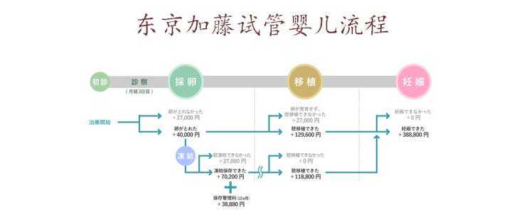 莱芜代孕哪里专业,东京加藤医院微刺激方案试管流程及适应人群一览-上海供卵