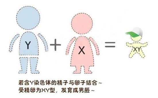 铁岭代孕公司代孕过程,岳阳妇幼能做试管婴儿硬性条件是关键-上海私立医院供