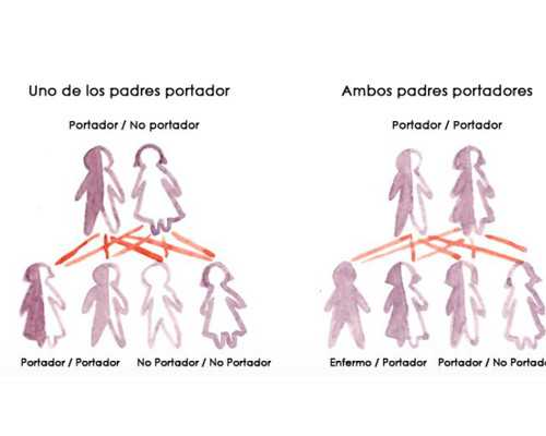 山东哪里做助孕试管又快又好 山东哪里做试管比较好