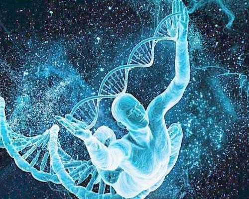 做试管供卵费用,试管婴儿怎么做全过程？我想要个女儿！