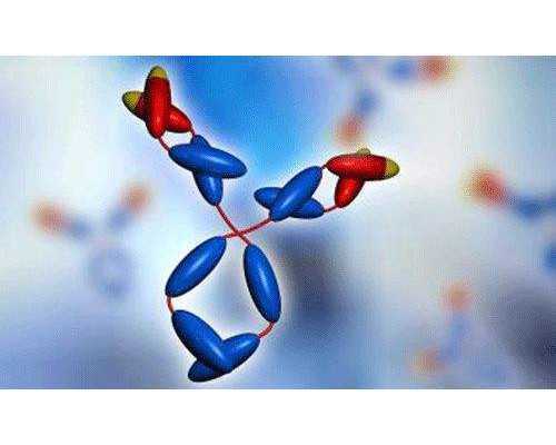 包生代怀宝宝孩子,试管移植能吃番茄酱吗？试管婴儿移植后能吃番茄酱吗？