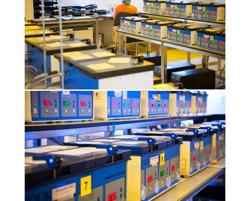 备孕男性需要服用叶酸吗？探究！