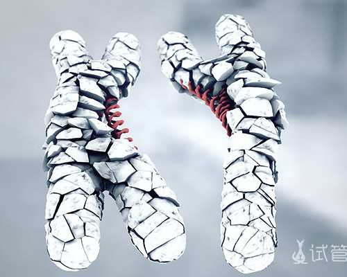 私立供卵试管医院,哈萨克斯坦做三代试管婴儿比较好的私立机构排名在这