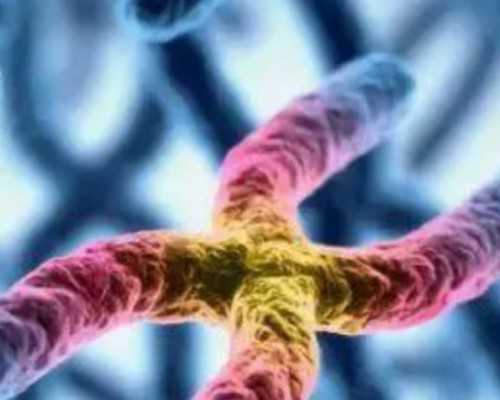 洋槐花_洋槐花的功效与作用_洋槐花的吃法-三代试管咨询