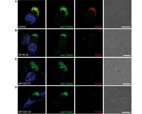 山东私立试管医院排名榜,山东试管十大排名医院！
