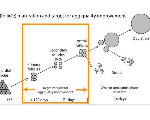 青岛试管婴儿哪家比较好_青岛试管婴儿医院排名