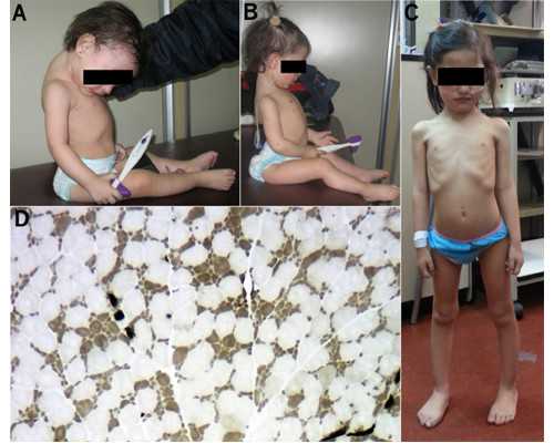 上海助孕包性别多少钱|长沙供卵试管多少钱（长沙哪家医院做试管成功率高）