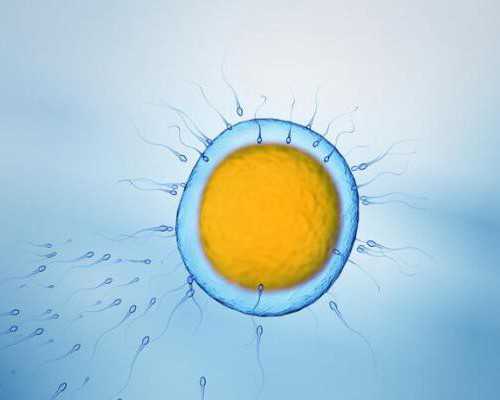 月经还差10天同房会不会怀孕