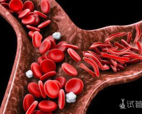 中班育儿知识大全秋冬季护理方法健康饮食建议等10篇