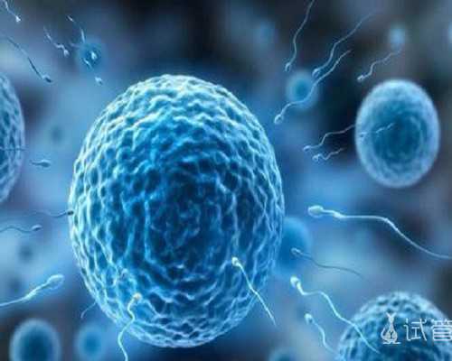 有偿供卵医院,试管婴儿怀生宝宝真实经历？做试管怀生宝宝的几率多大