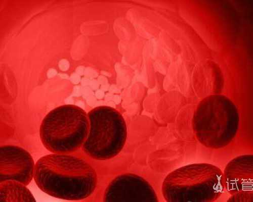 学生整容季 许多人长着电眼和翘鼻