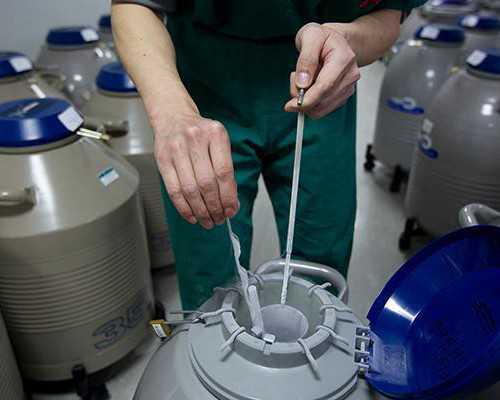 孕前肥胖孕妇饮食指南：控制热量、提供营养、拒绝暴食、增加膳食纤维