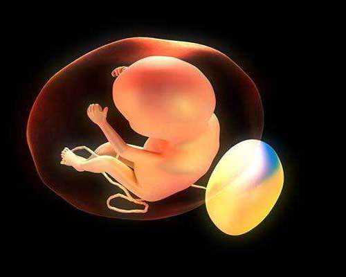 成功宝贝助孕靠谱吗|公开合计广西试管供卵助孕费用！附2026广西供卵试管医院