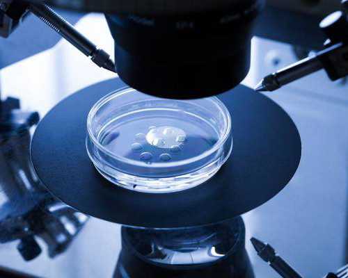 青岛哪里做供卵不用等,青岛供卵试管的几代？