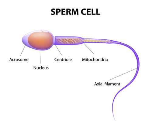 青岛三代试管机构,青岛助孕 青岛有没有专业做试管的