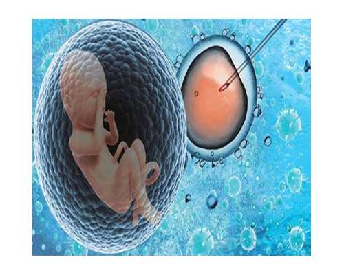 男性备孕时，番茄红素有什么作用？