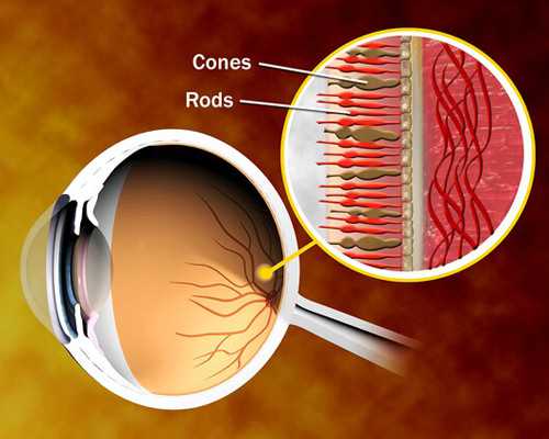 能供卵试管吗,子宫内膜太薄该怎么办！成功率咋样！