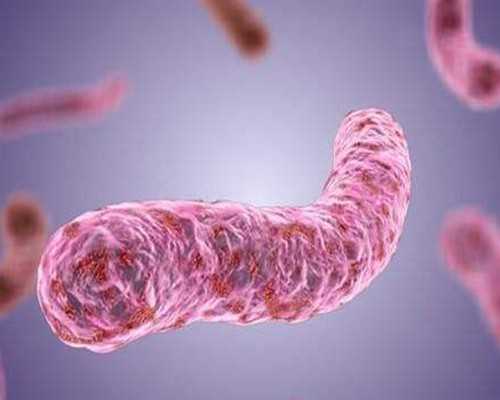 青岛供卵试管靠谱医院,青岛医院有供卵试管吗？