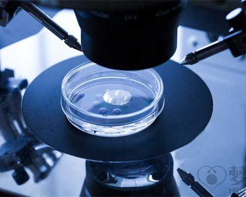 60岁试管婴儿生下男婴 试管婴儿成功率有多少？-供卵医院在哪