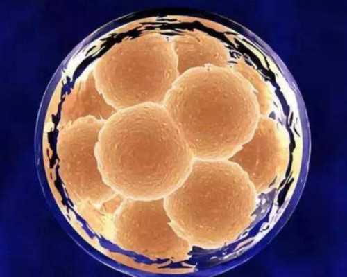 孕妇吃菠萝的好处：孕妇怀孕初期可以吃菠萝吗-借卵供卵医院