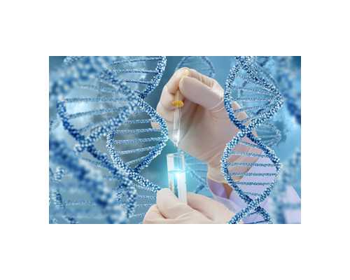 <strong>试管婴儿内膜太薄怎么办？分享试管婴儿长内膜的11个方法</strong>