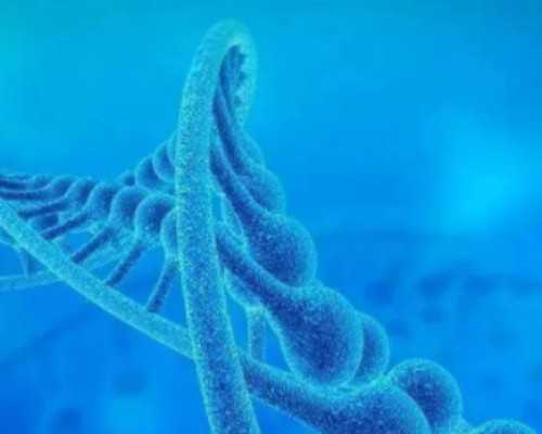 无锡助孕选性别包成功|乌鲁木齐医学院可以做试管婴儿吗