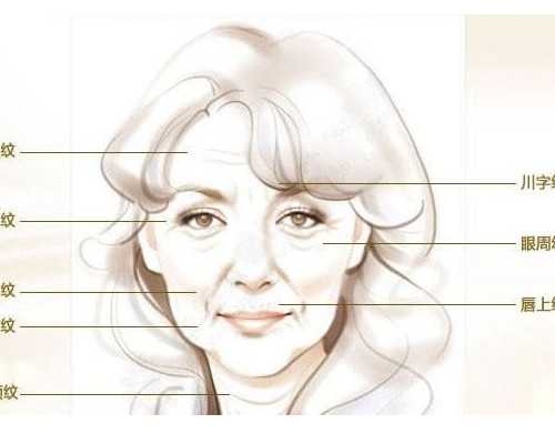 宠物小精灵怎样养成好性格