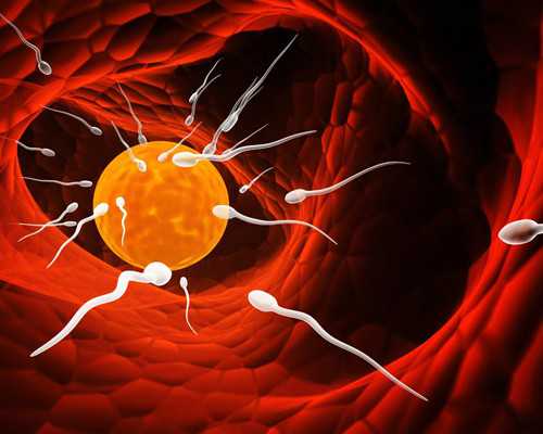 中国和仁助孕网微信|丽水供卵三代试管婴儿多少钱？附2026最新出炉三代试管供